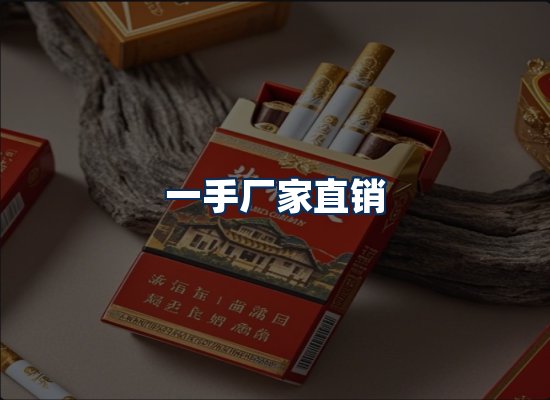 专业团队办公环境